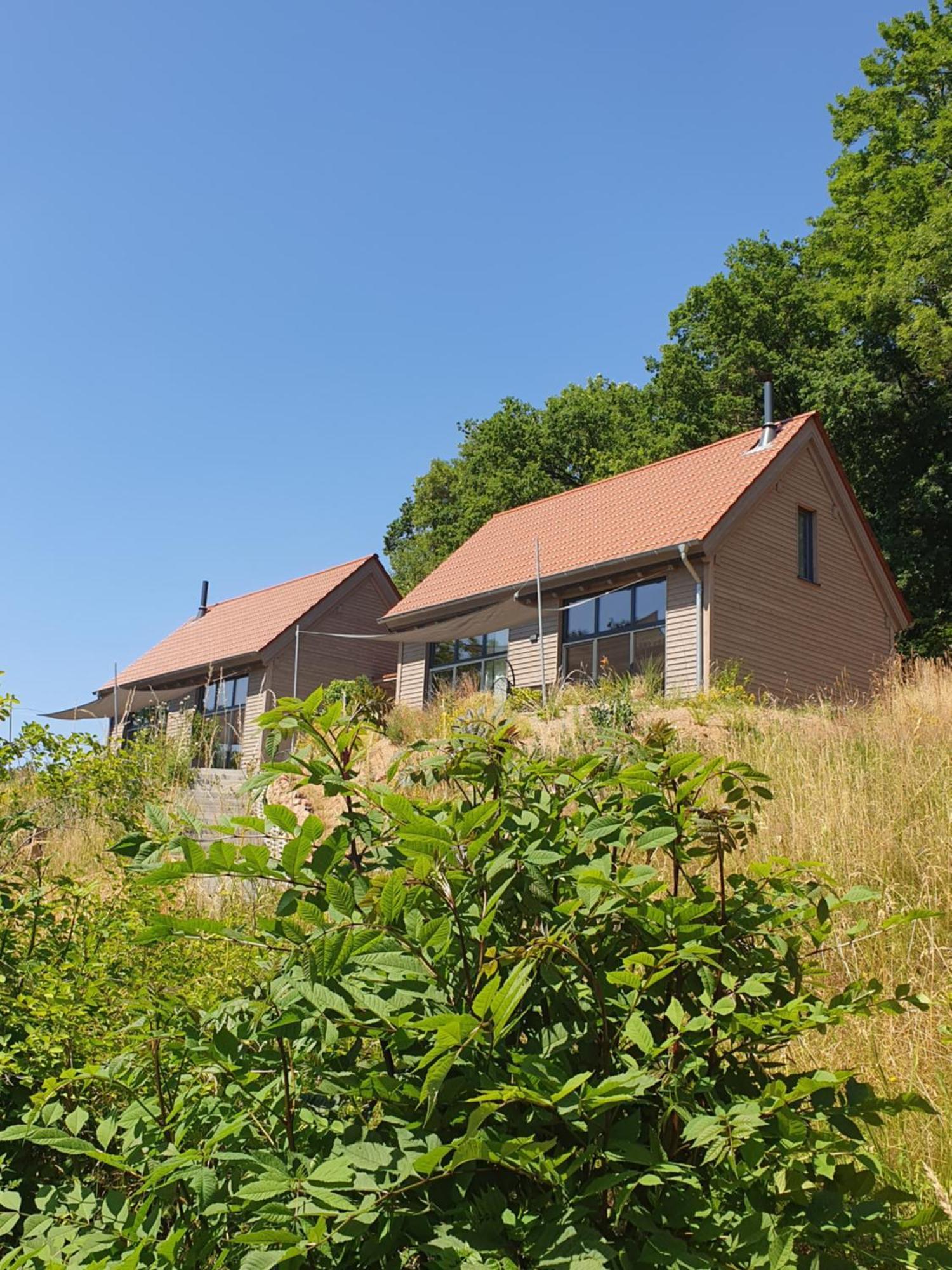 Odenwald-Lodge Mit Infrarotsauna Und E-Ladestation "Haus Purpur" Reichelsheim 외부 사진