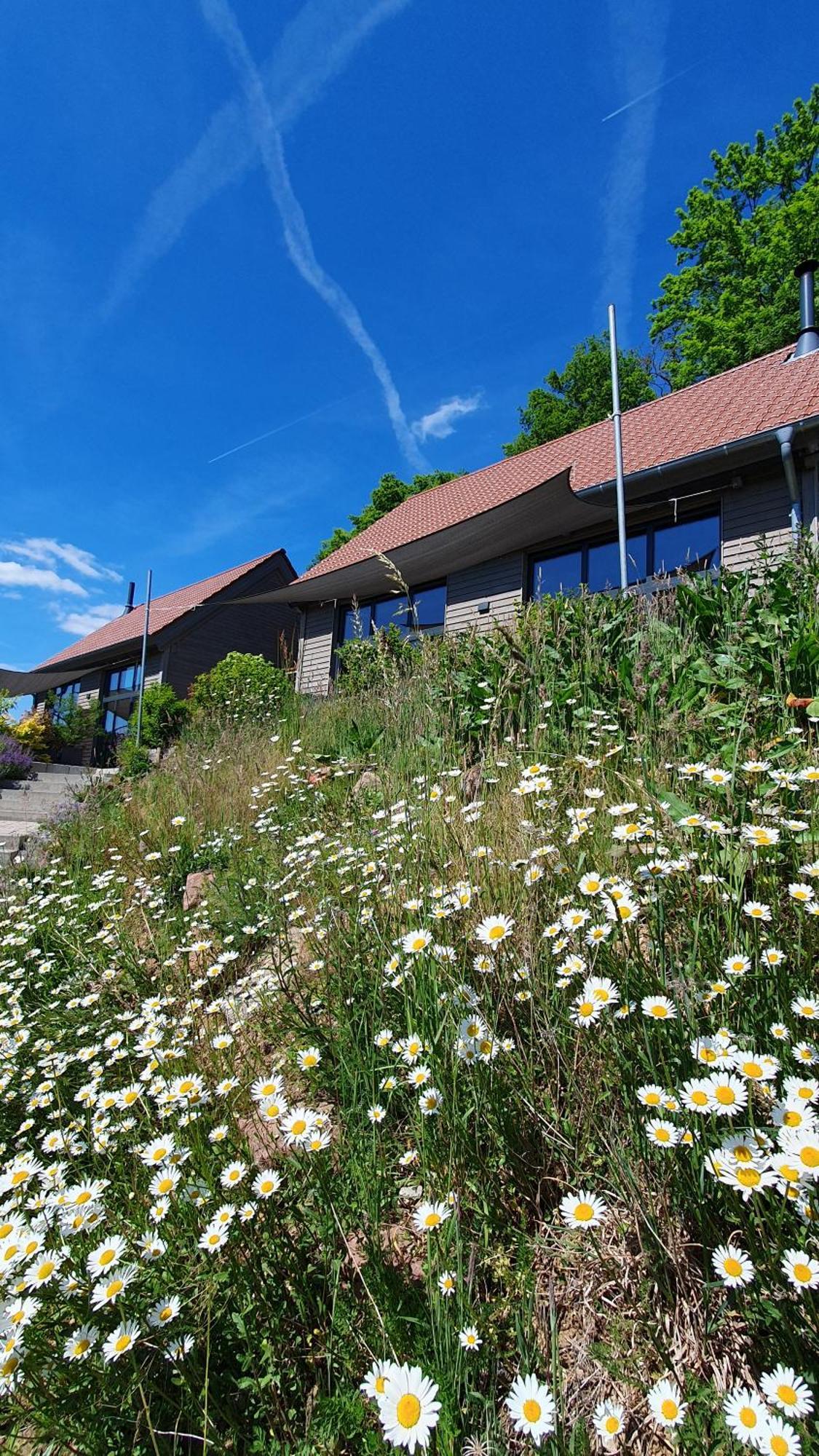 Odenwald-Lodge Mit Infrarotsauna Und E-Ladestation "Haus Purpur" Reichelsheim 외부 사진